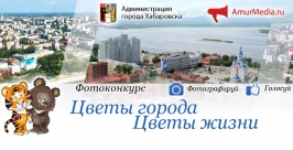 Борьба за фотоаппарат, iPad и жесткий диск началась на сайте AmurMedia в Хабаровске ИА AmurMedia